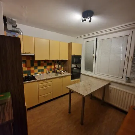 Apartment Palarikova